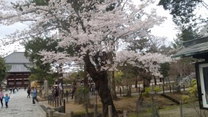 20160402_180250