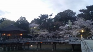 20160402_182937
