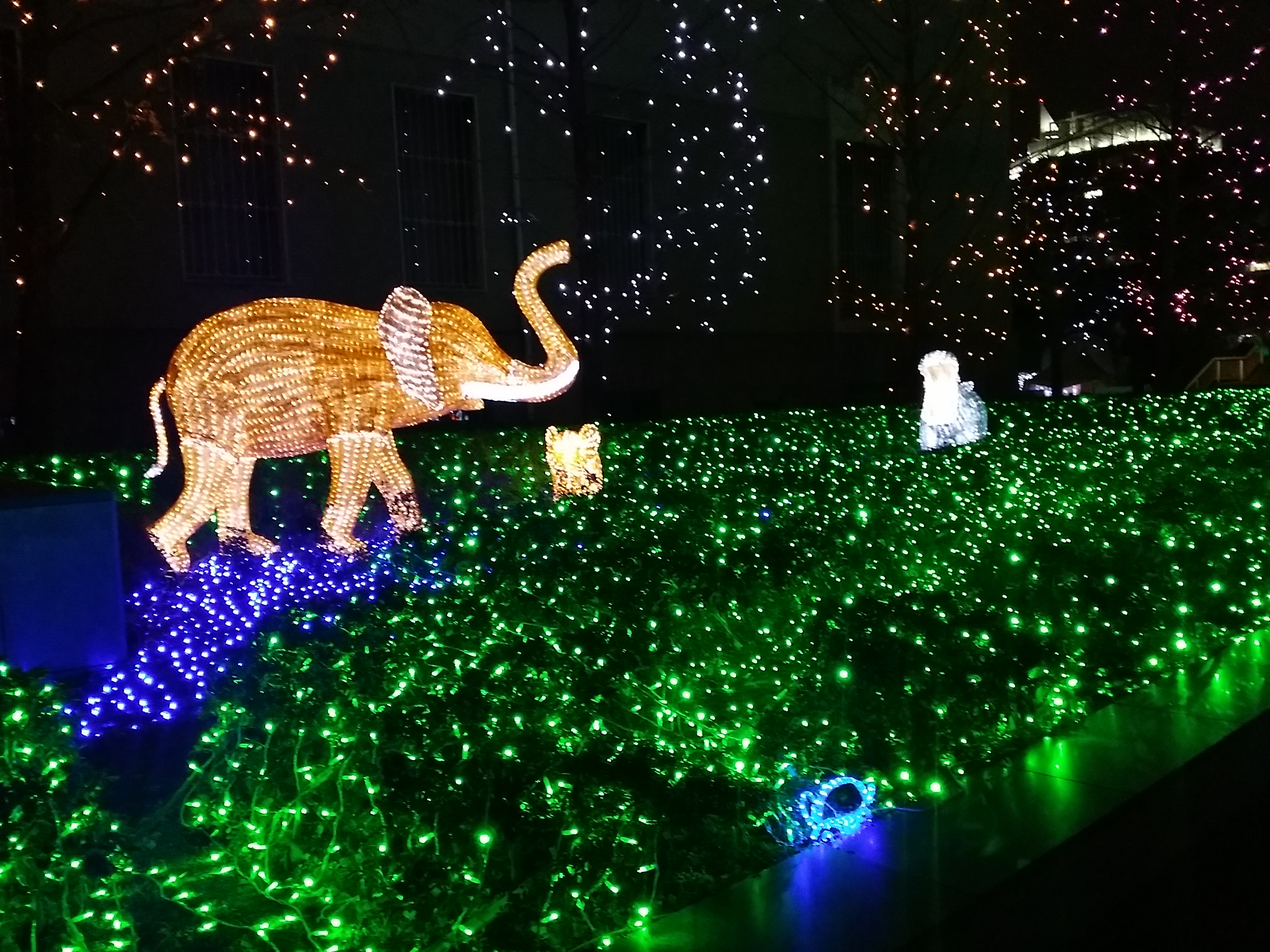 天王寺公園イルミネーションの見どころはこれ イルミナージュは思ってるより暗いよ たかはる調査隊